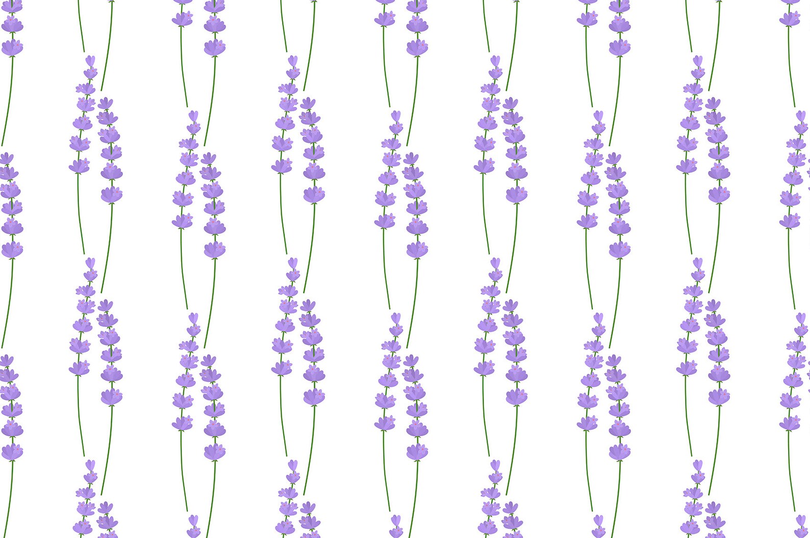Lavender pattern. Lavender flowers pattern. Lavender seamless Etsy