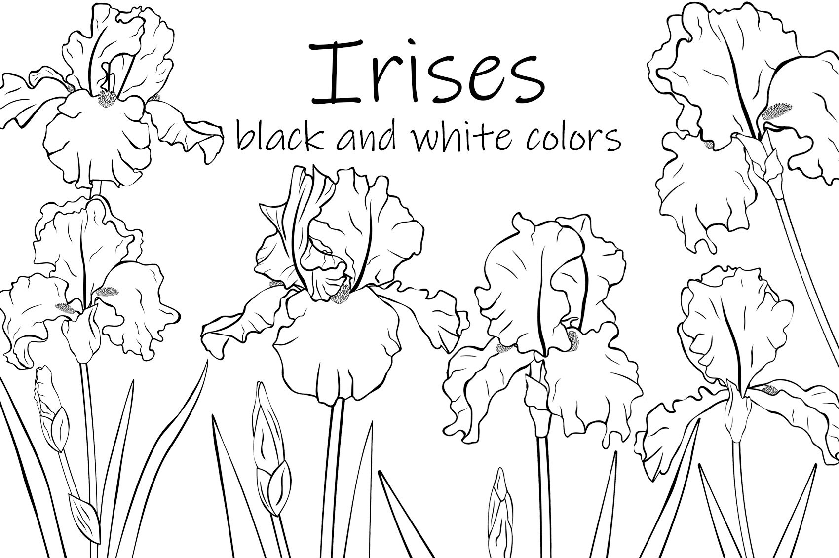 Flores Irises gráficos. Colorantes de iris. Irises imágenes | Etsy