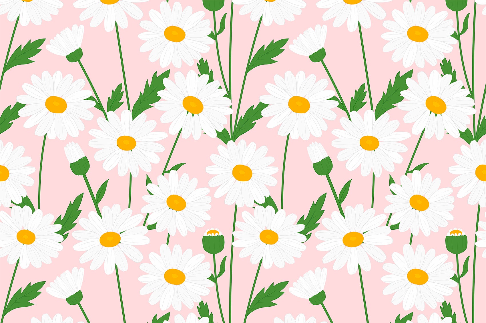 Daisy pattern. Daisy flowers pattern. Daisy digital paper. Etsy