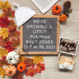 Anuncio de embarazo digital en redes sociales / Otoño / Calabaza / Enamórese / Tablero de letras digital