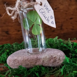 lucky charm, New Year&#39;s Eve, New Year&#39;s Eve souvenir, clover, real four-leaf clover, glass bottle, gift clover, good luck