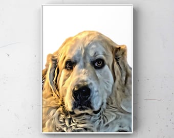 Great Pyrenees, Dog Artwork, Pet Print, Great Pyrenees Gift