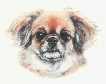 TIBETAN SPANIEL blank Greetings Card - ORIGINAL Artwork