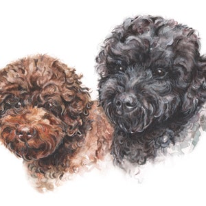 COCKAPOOS Grußkarte - Original Artwork - Redtrouserdesigns