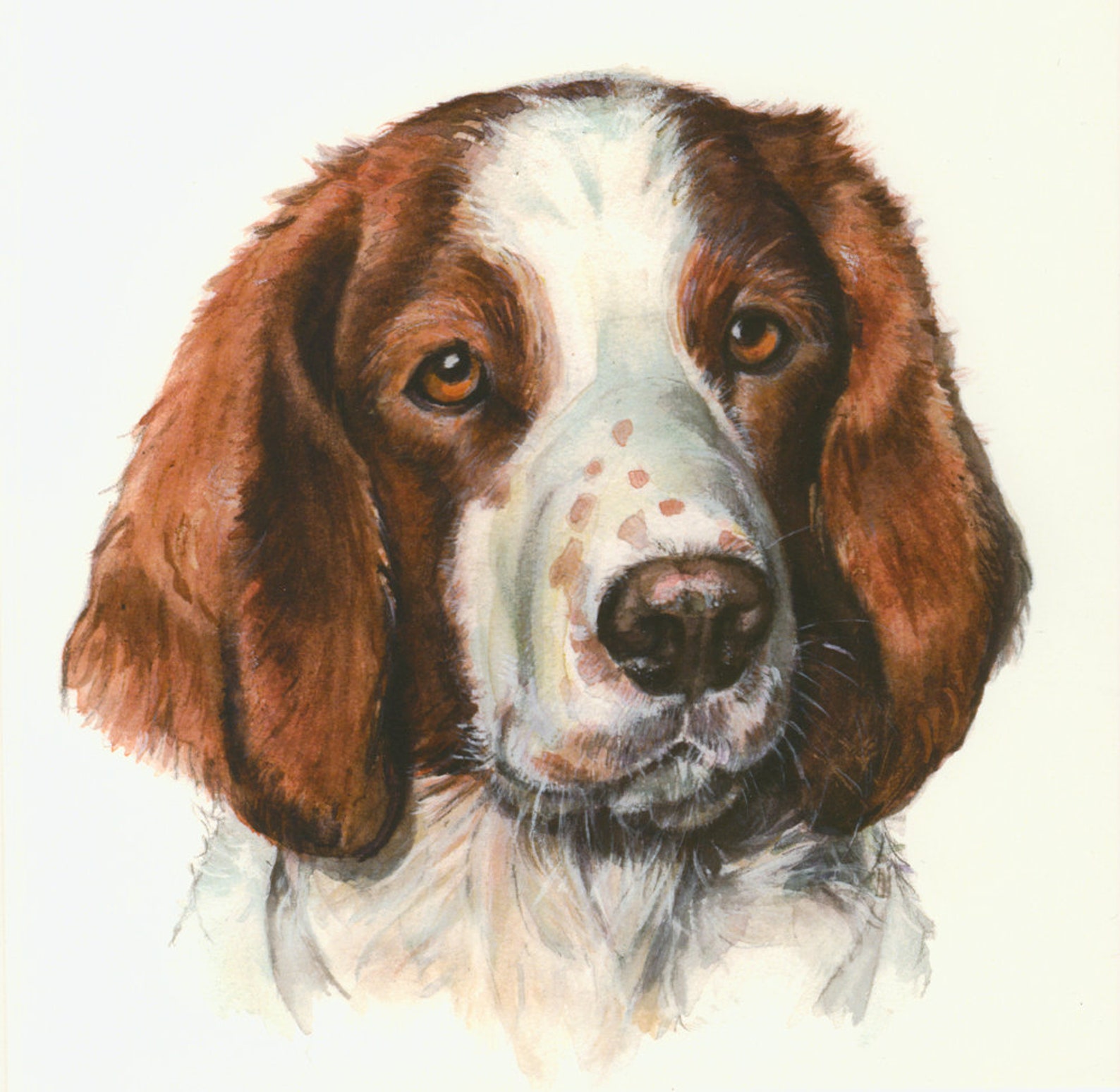 WELSH SPRINGER SPANIEL Blank Greeting Card Original Artwork - Etsy