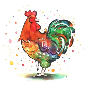 Vibrant ROOSTER  blank Greetings Card - Original Artwork Designs - Redtrouserdesigns