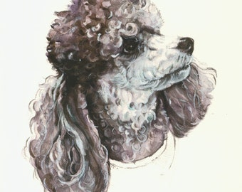 POODLE  blank Greetings Card - Original Artwork Designs