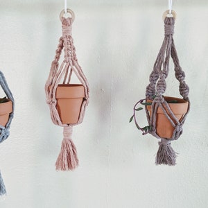 May include: Three macrame plant hangers with terracotta pots and small plants. The hangers are gray, pink, and brown.