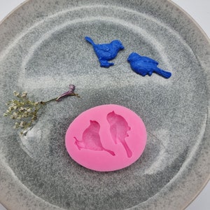 2  Bird Shapes, Silicone Mold, Pink Silicone, Resin Mold , DIY Jewelry Molds, Fondant Mold, Polymer Clay Molds.