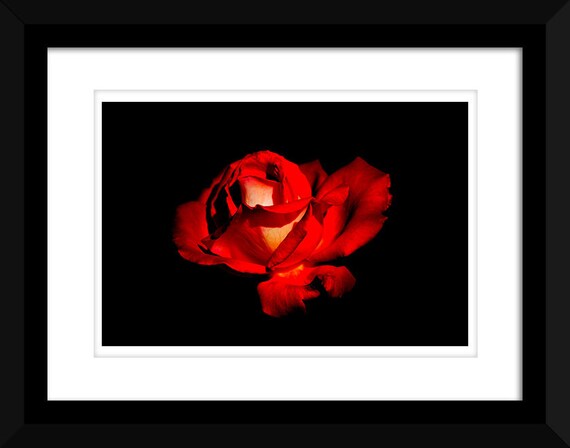 Prints Garden decor Red rose flower print Printable wall art Instant ...