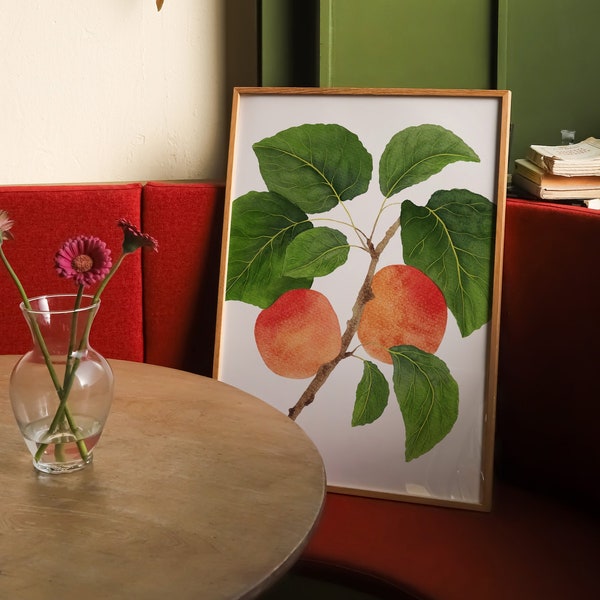 Apricot branch, Café decor, Botanical print, Watercolor painting, Artwork for Restaurants and Bars
