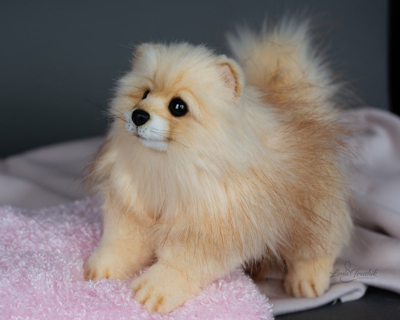 FOR ORDER. Realistic spitz toy. OOAK. custom dog. Etsy
