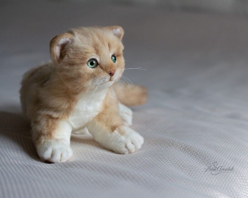 FOR ORDER. Realistic toy cat. collectible animal. Cat lover Etsy