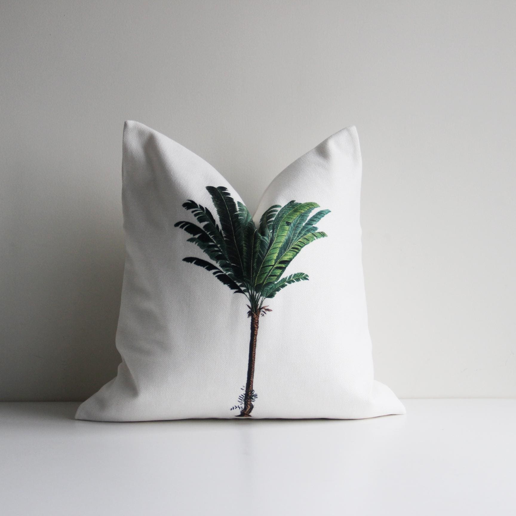 Housse De Coussin 40x40 Plume De Paon Motif Carré Double Face Housse Coussin Canape Décoration Chambre