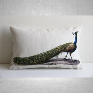 Ancient Peacock Pattern Printed Lumbar Throw Pillow Cover - Animal Decorative Cushion Cover, Birds Pillow case 20"x12" 50x30cm, custom size