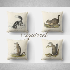 May include: Set of four throw pillow covers featuring vintage illustrations of squirrels. Each pillow cover features a different squirrel species in a natural setting.