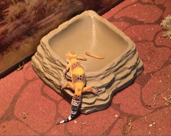 Reptilien Schüssel Rampenstil