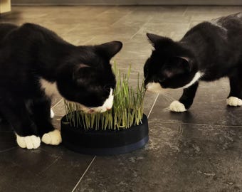 Cat Grass Planter Pot for Catnip - Bunny & Small Animal Grass Planter