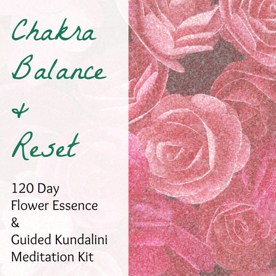 Flower Essence for Chakras Online Course Kit Flower Essence Etsy