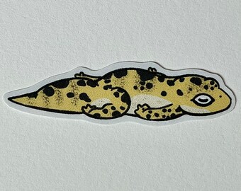 Keke Sticker 3 Pack - Leopard Gecko Sploot