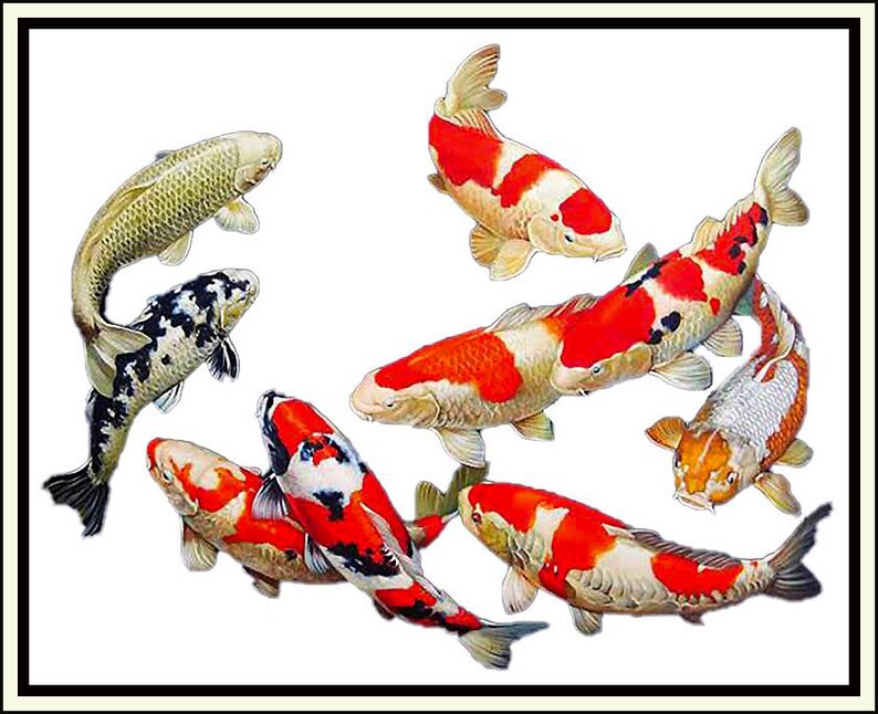 9 Lucky Koi instant Download / Digital File/ PDF File /digital Download