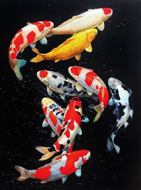 koi fish beret