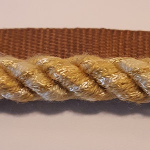 May include: Close-up of a gold and white rope trim. The rope is twisted and has a subtle sheen.