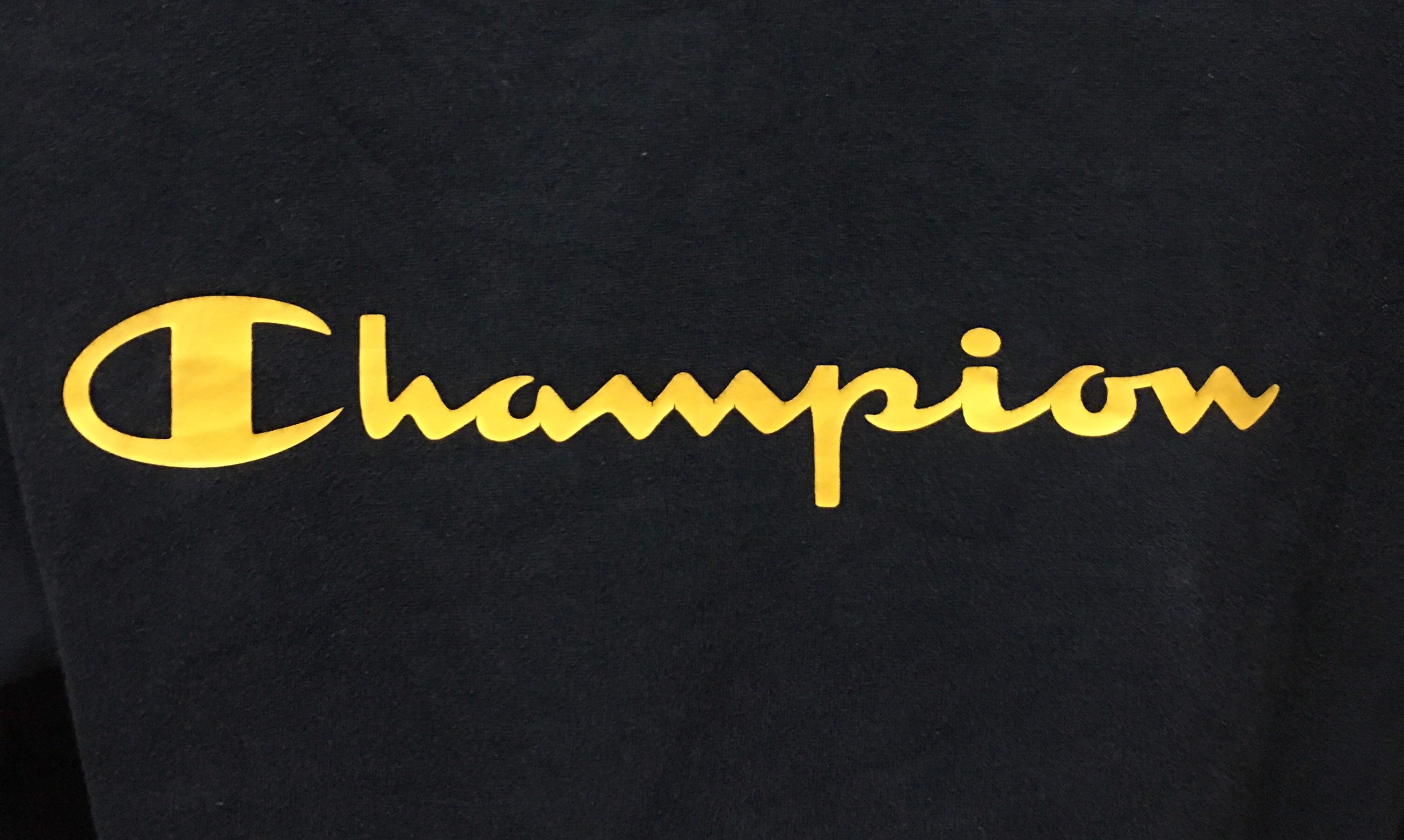 Champion sweatshirt small script logo best sale