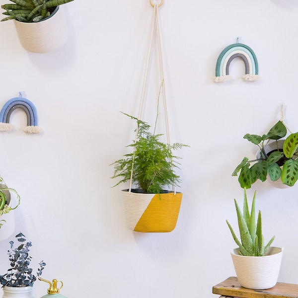 Colour Block Hanging Planter, Macrame Plant Hanger, plant hanger, painted plant hanger, hanging plants, for indoor plants, colour block