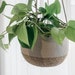 see more listings in the Hanging Plant Baskets section