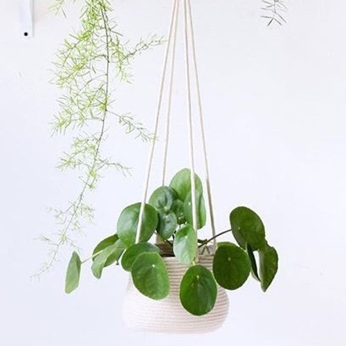 6inch Hanging Planter Basket, for a hanging plant, indoor plant, hanging plant holder, plant hanger