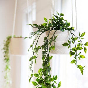 4inch hanging planter, small hanging basket,  planter basket, indoor plant holder, plant hanger, hanging plant holder