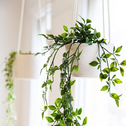 Simple Double Macrame Plant Hanger/hanging Flowerpot | Etsy