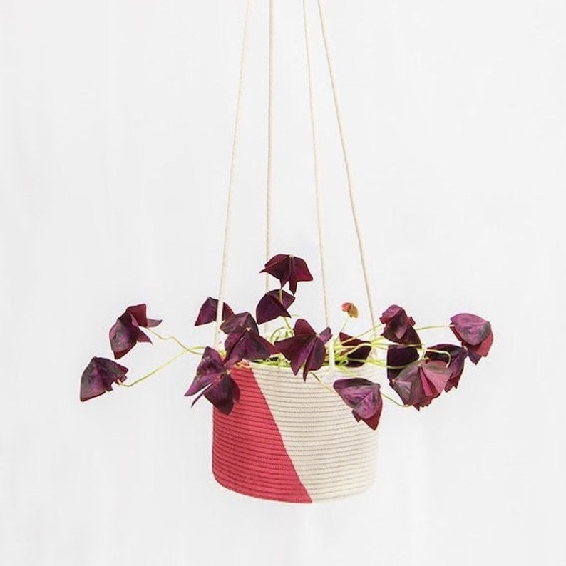 Colour Block Hanging Planter, Macrame Plant Hanger, plant hanger, painted plant hanger, hanging plants, for indoor plants, colour block image 9