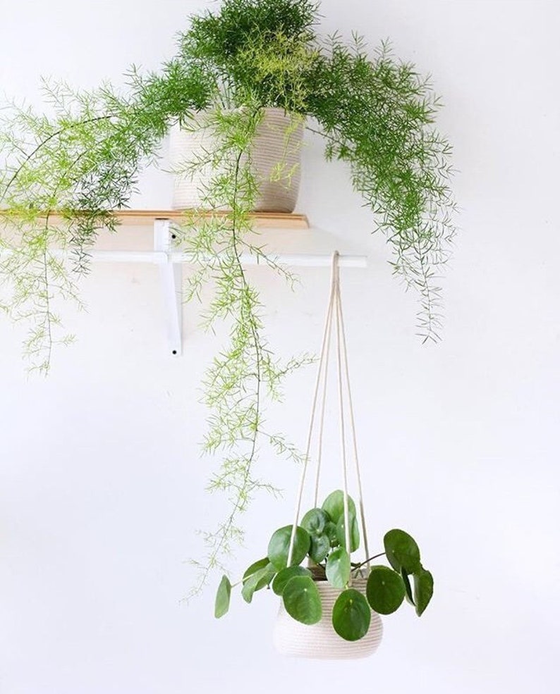 6inch Hanging Planter Basket, for a hanging plant, indoor plant, hanging plant holder, plant hanger image 1