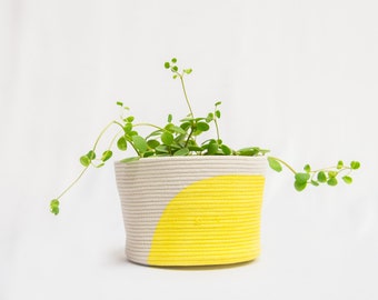 Curved Colour block standing plant basket - minimalist style - plant pot cover - 4in, 6in, 8in, 10in