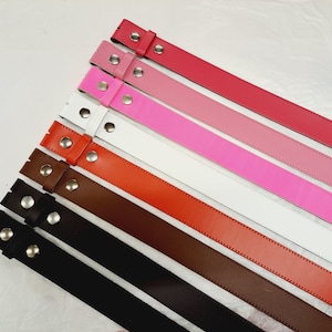 Può includere: Un set di 10 cinturini in pelle di vari colori, tra cui nero, marrone, rosso, rosa e bianco. I cinturini sono disposti a ventaglio, con i colori più scuri in basso e i colori più chiari in alto. Ogni cinturino ha una fibbia in metallo argentato.