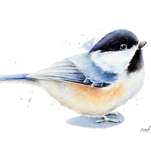Chickadee Watercolor Print by Christy Barber |Song Bird Watercolor Painting, Chickadee Artwork, Bird Wall Art Home Decor, Bird Illustration