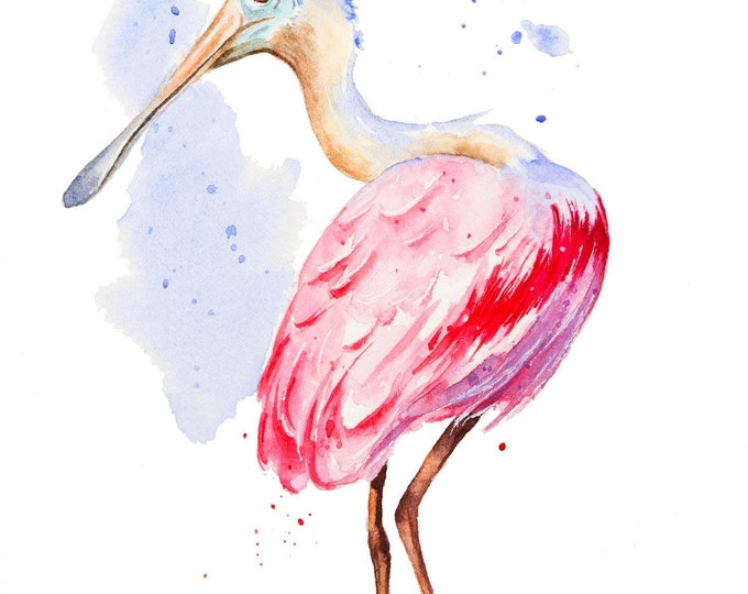 Original Roseate Spoonbill Watercolor Study by Christy Barber | Bird Painting, Original Wall Art, Tiny Mini Home Decor, Artist's Study, Gift
