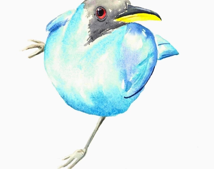 Green Honeycreeper Watercolor: Original Bird Study Wall Art