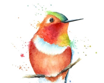 Rufous Hummingbird Watercolor Print: Signed Bird Art