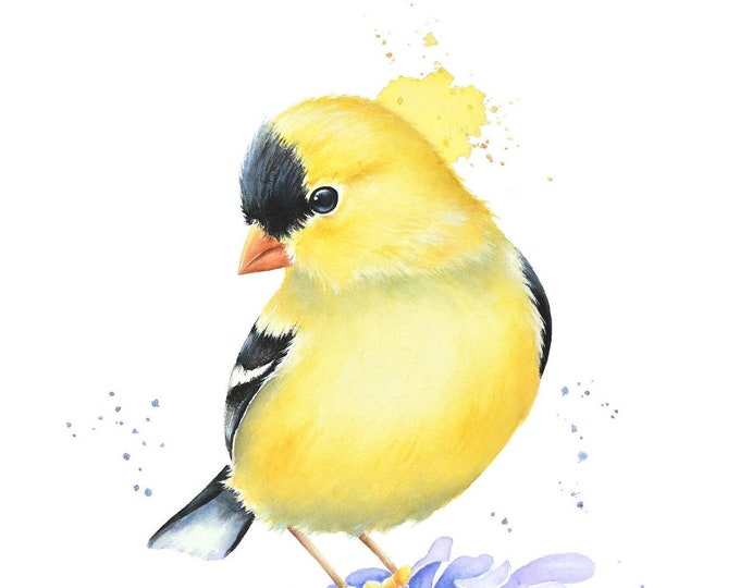 Yellow Goldfinch Watercolor Painting by Christy Barber | Bird Print, American Goldfinch Zinnias, Flower Bird Wall Art Decor, Nature Artwork