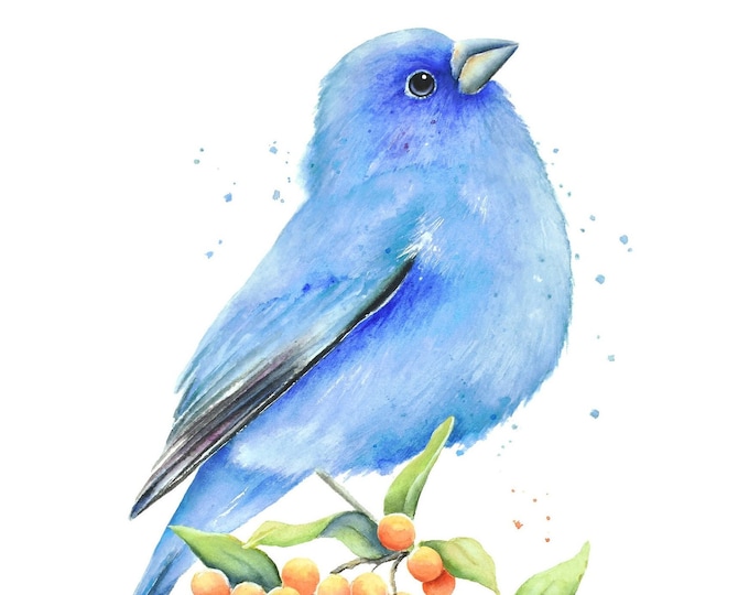Indigo Bunting Watercolor Painting | Art Print By Christy M Barber, Bird and Berries Painting, Nature Wall Artwork, Home Decor, Illustration