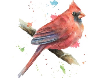 Cardinal Watercolor Print: Northern Male Songbird Art