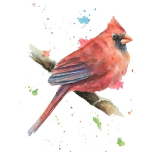 Cardinal Watercolor Print: Northern Male Songbird Art