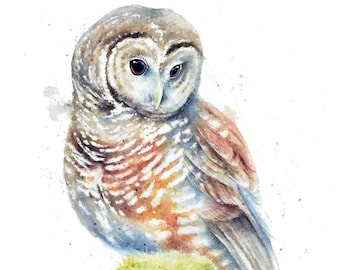 Northern Spotted Owl Print | Owl Watercolor Painting by Christy Barber, Tiny Mini Bird Wall Art, Bird Artwork, Under 20 Gift, Owl Home Decor