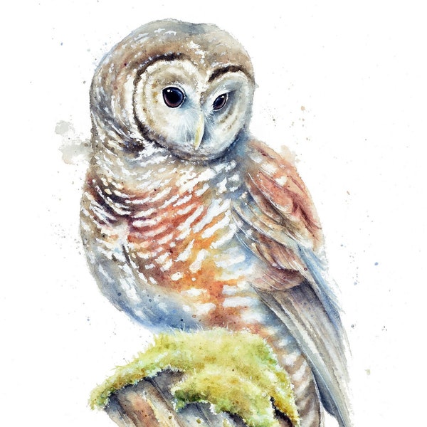 Northern Spotted Owl Print | Owl Watercolor Painting by Christy Barber, Tiny Mini Bird Wall Art, Bird Artwork, Under 20 Gift, Owl Home Decor