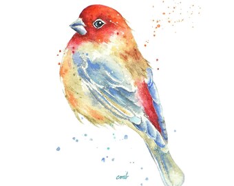Finch Watercolor Giclee Print: Archival Bird Art
