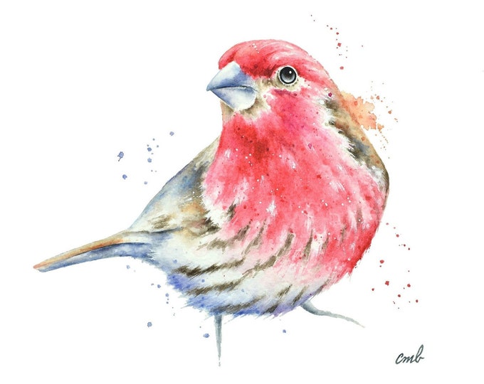 Bird Watercolor Painting by Christy Barber | Bird Print, Bird Painting, Finch Watercolor Print, Bird Wall Art, Bird Art, Bird Artwork Gift