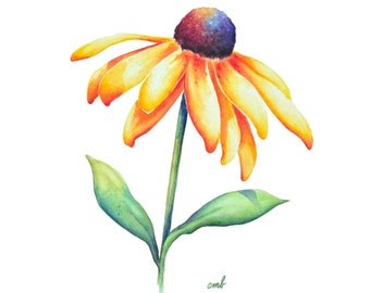 Black Eyed Susan Watercolor Print: Rudbeckia Flower Wall Art